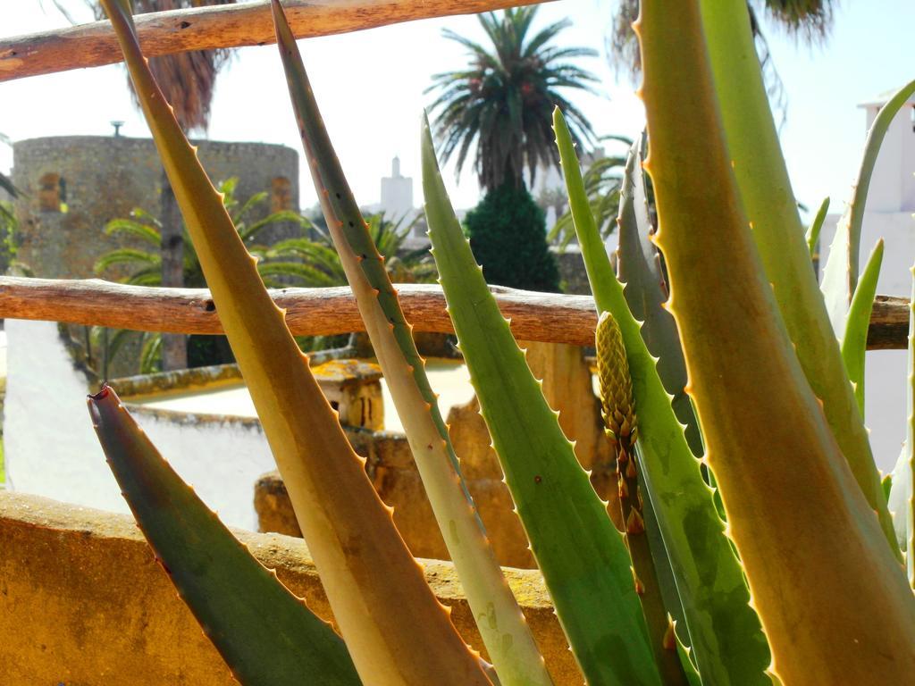 Patio De La Luna Asilah Exterior foto